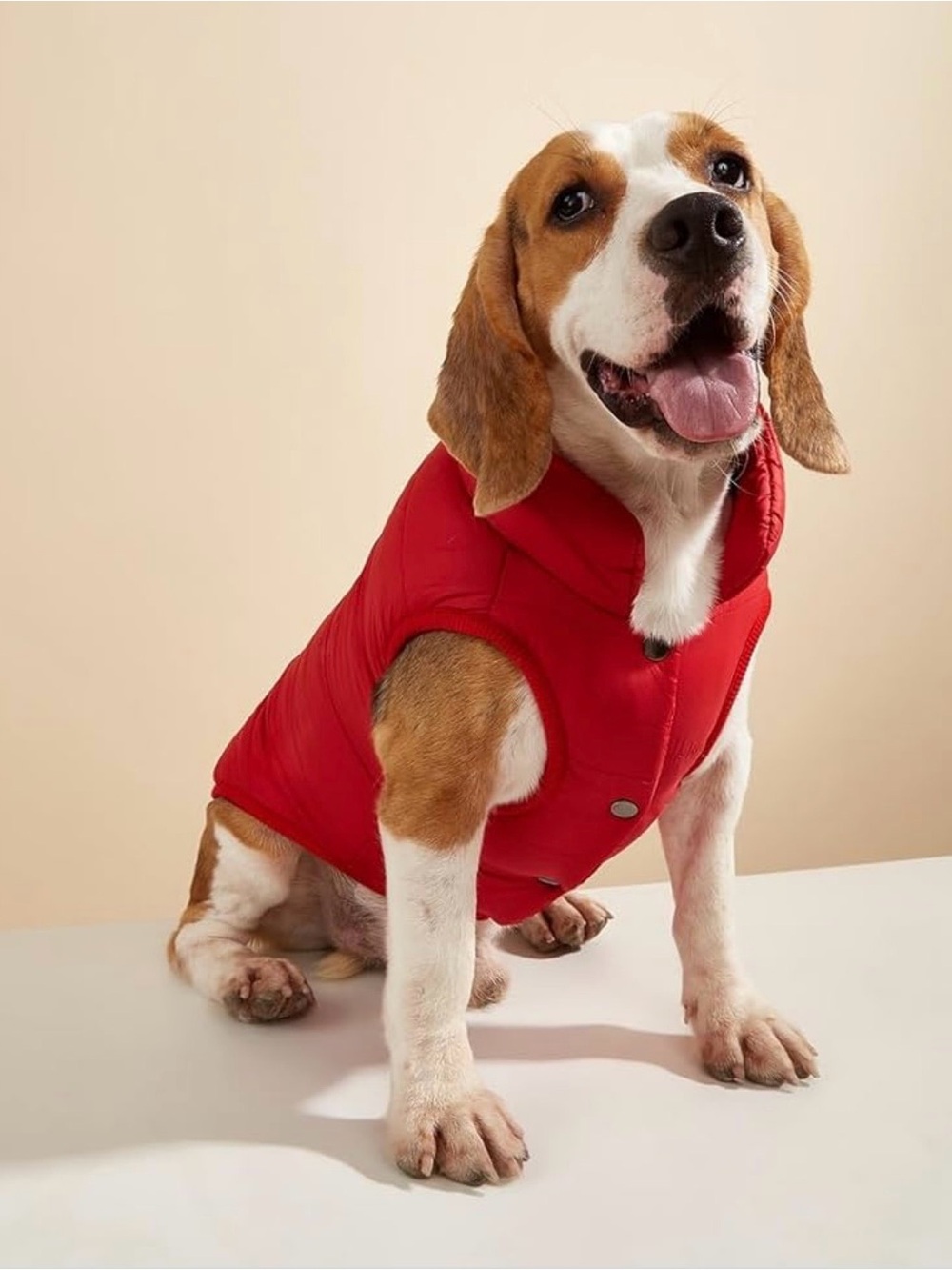 Fleece lined dog winter jacket size XL